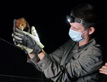 L'île de La Réunion : Laboratoire de l'évolution