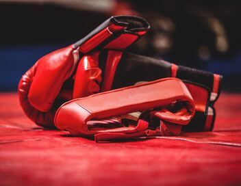 MMA : UFC Classiques