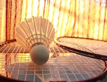Badminton : Championnats du Monde
