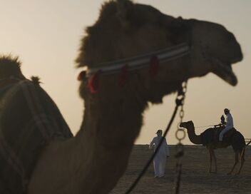 Qatar : une dynastie à la conquête du monde