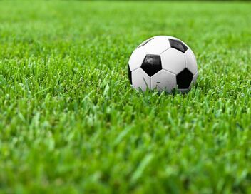Football : Coupe du monde