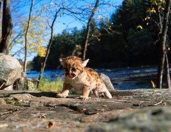 Au coeur du zoo le plus beau du monde
