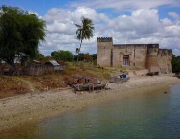 Tanzanie, de Zanzibar à Kilwa