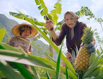 Les Bodin's en Thaïlande