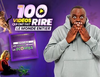 Les 100 vidéos qui ont fait rire le monde entier