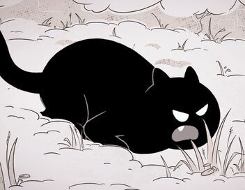 Putain de chat !