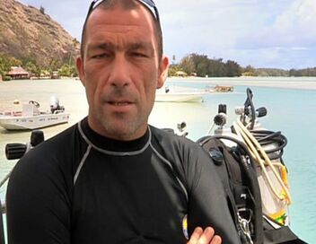 Moorea, l'île aux requins citrons