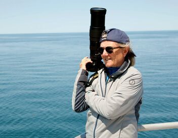 Les dernières baleines franches