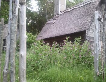 Les sorcières de Salem : la véritable histoire