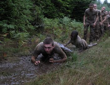 Le journal de la Défense