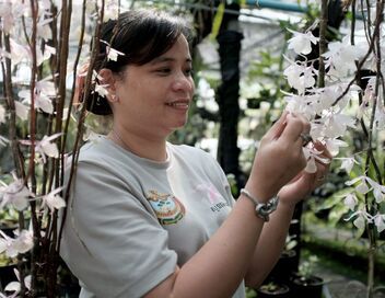 La forêt merveilleuse du Cambodge