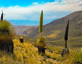 Un écrin de nature dans les Andes