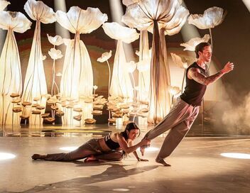 Danse avec les stars