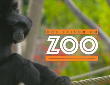 Une saison au zoo