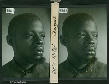 Ils étaient tirailleurs, voix oubliées de la Grande Guerre