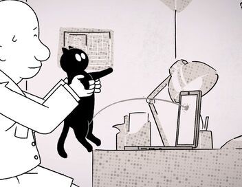 Putain de chat !