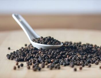 Dis-moi ce que tu manges : Une histoire de l'alimentation