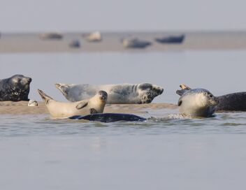 La France côté Nord