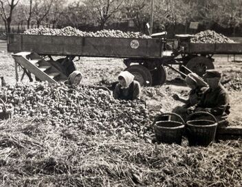 Une histoire de l'agriculture : Collectivisation et remembrement