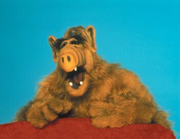 Alf