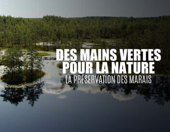 Des mains vertes pour la nature