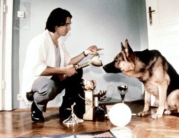 Rex, chien flic
