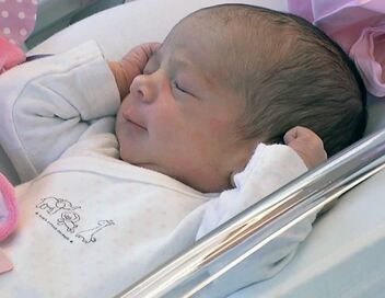 Baby boom