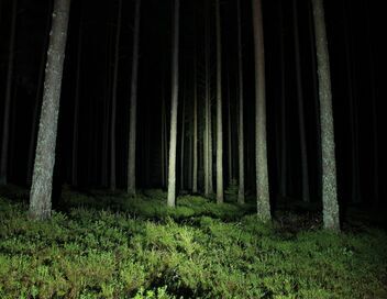 Au bout de l'enquête, la fin du crime parfait ?