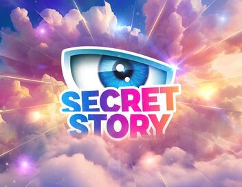 Secret Story, la quotidienne