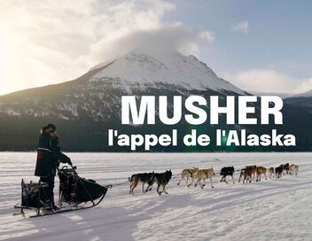 Musher, l'appel de l'Alaska