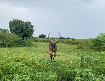 Les sommets d'Afrique