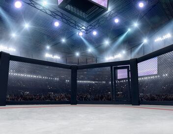 MMA : UFC Classiques
