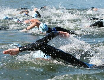 Triathlon : World Triathlon Series