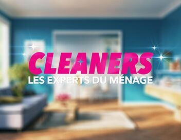 Cleaners les experts du ménage