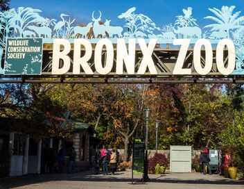 Au coeur du zoo de New York