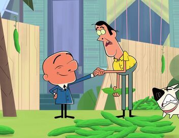 Mr Magoo