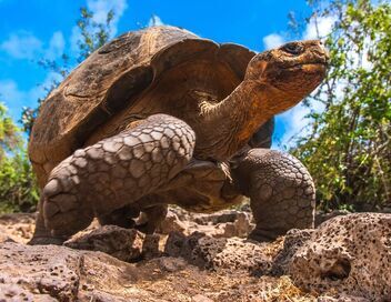 Au coeur du zoo le plus beau du monde