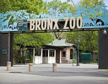 Au coeur du zoo de New York