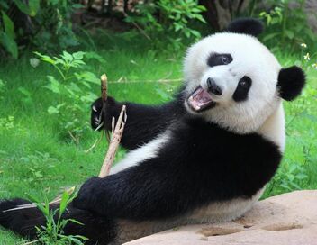 Au coeur du zoo le plus beau du monde