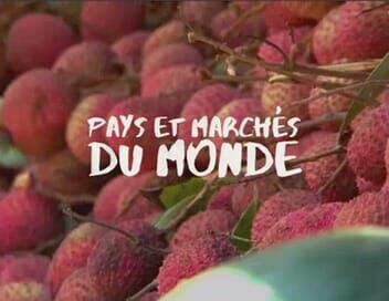 Pays et marchés du monde