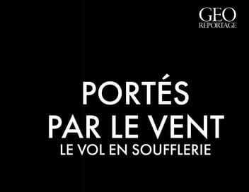 Portés par le vent, le vol en soufflerie