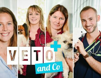 Véto & Co