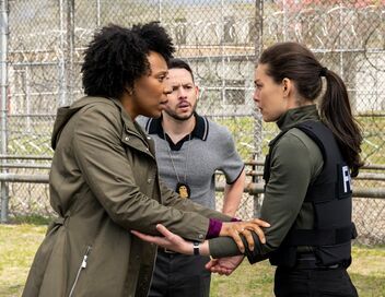 Most Wanted Criminals