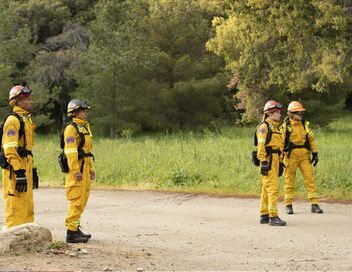 Grey's Anatomy : Station 19