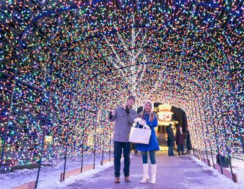 Noël aux grands magasins