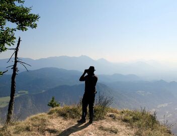 Les merveilles de la haute montagne