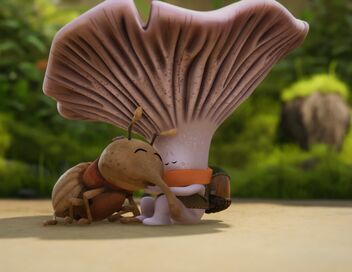Mush-Mush & les Champotes