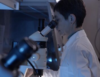 Paris, le mystère du palais disparu