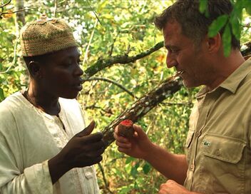 Médecines d'ailleurs