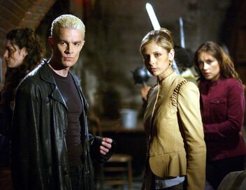 Buffy contre les vampires